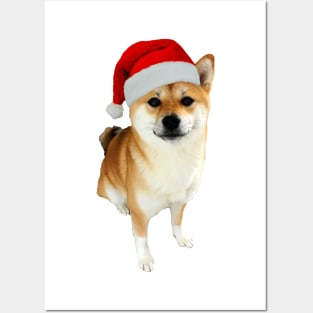 Lilly the Shiba Inu Sitting Down Christmas with Santa Hat Posters and Art
